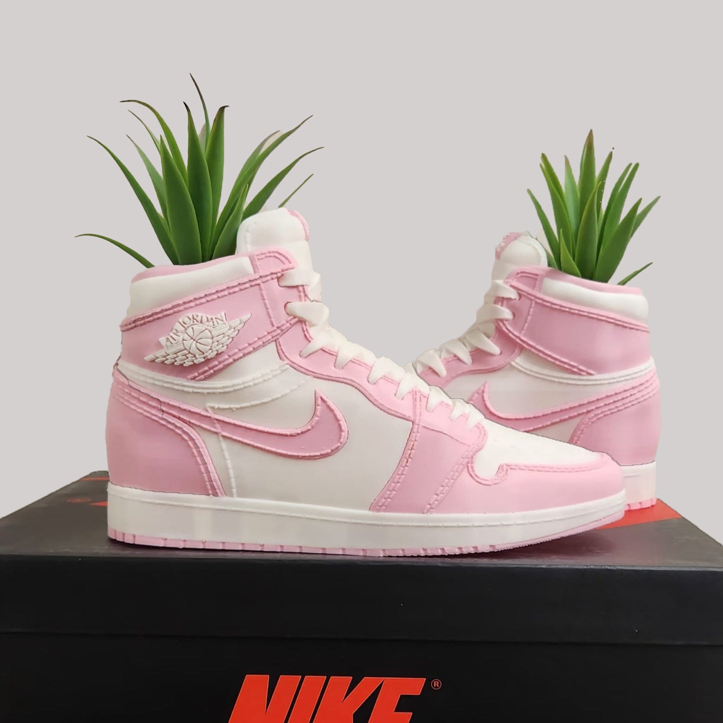 3D Printed Sneaker Planter Jordan 1 "Pink"