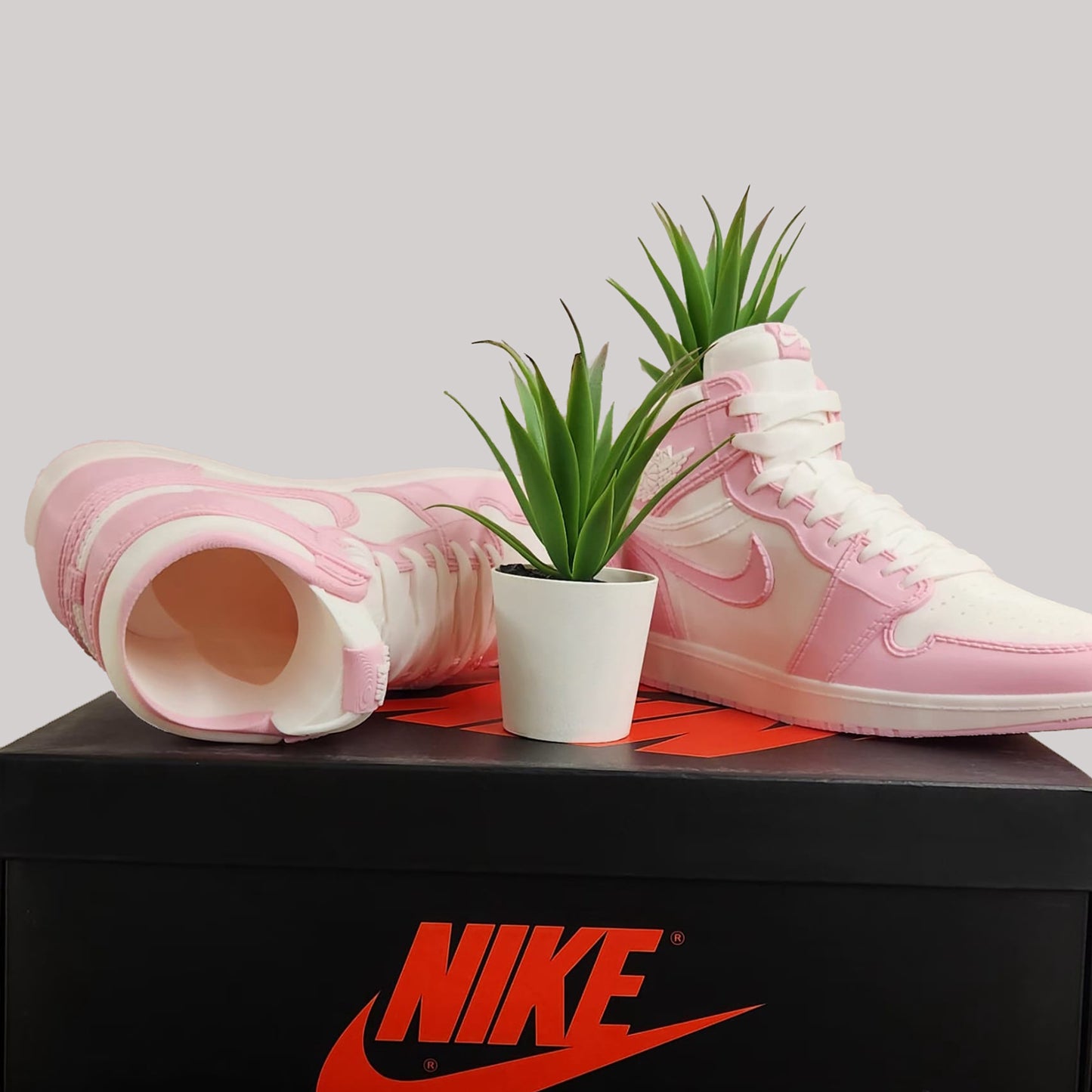 3D Printed Sneaker Planter Jordan 1 "Pink"