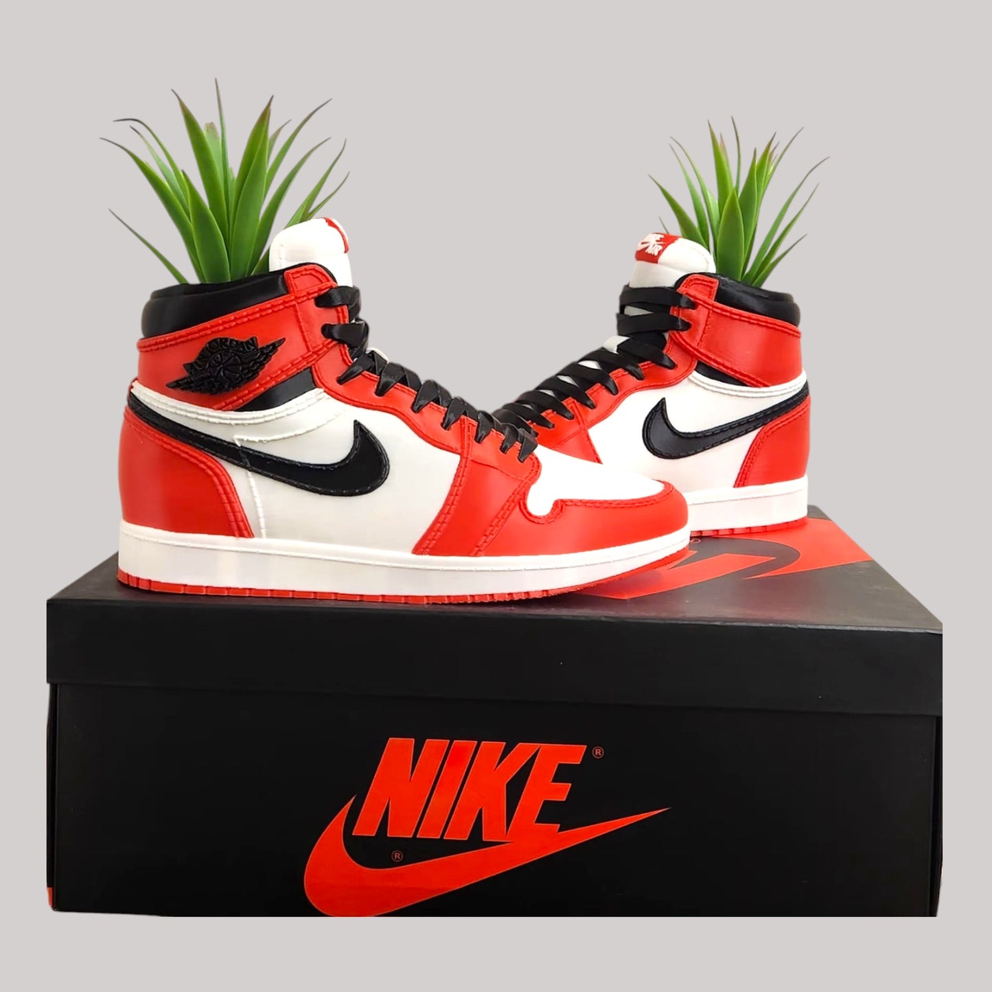 3D Printed Sneaker Planter Jordan 1 "Chicago"