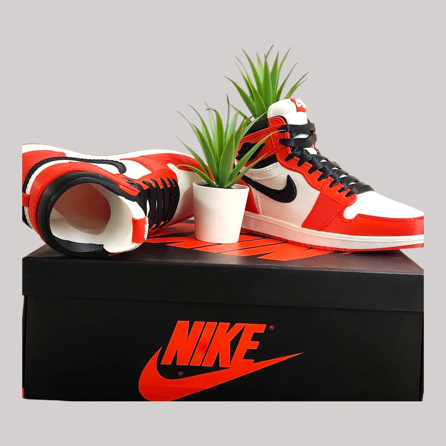 3D Printed Sneaker Planter Jordan 1 "Chicago"